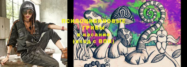 сатива Абаза