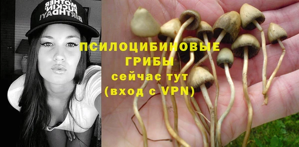 мескалин Новодвинск