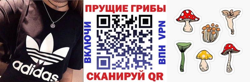 Галлюциногенные грибы GOLDEN TEACHER  наркота  Костерёво 