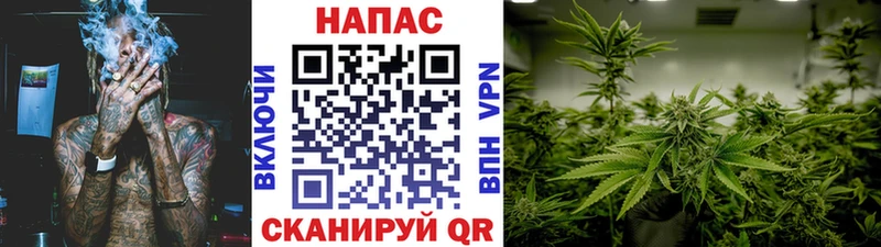 Каннабис SATIVA & INDICA  Костерёво 